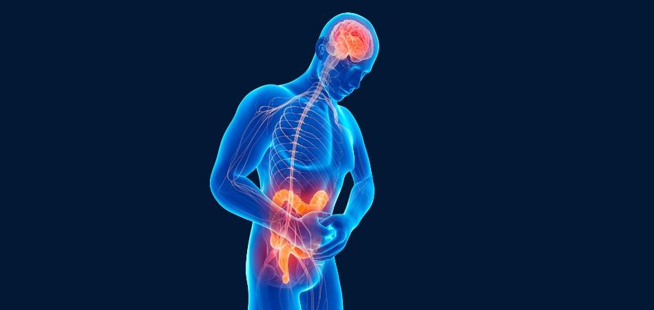 L’asse intestino-cervello: l’interconnessione tra corpo e mente